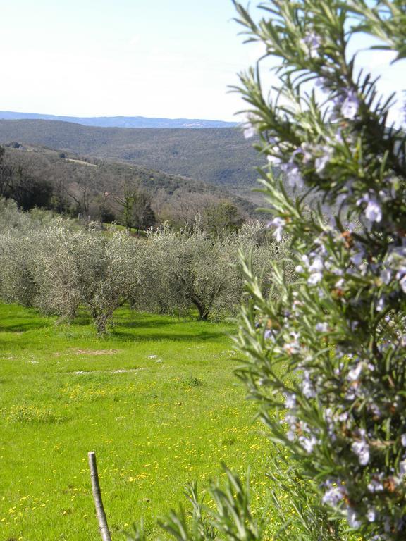 Agriristoro Podere S. Andrea Massa Marittima Extérieur photo
