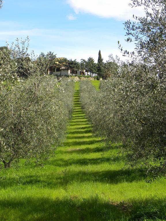 Agriristoro Podere S. Andrea Massa Marittima Extérieur photo