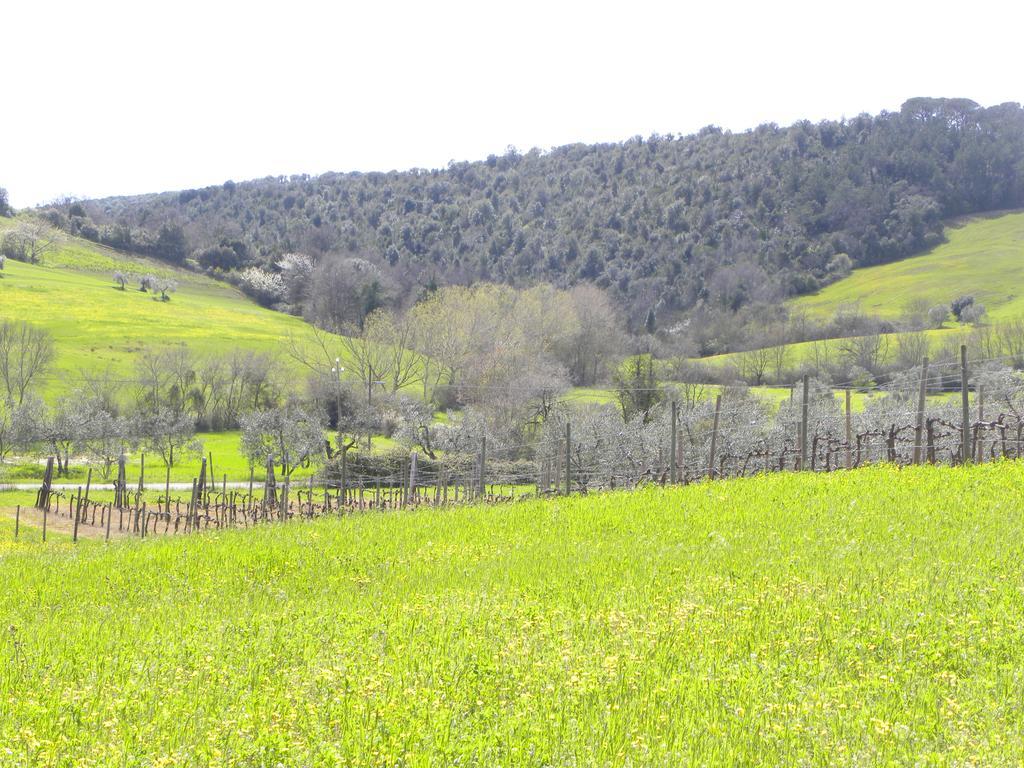 Agriristoro Podere S. Andrea Massa Marittima Extérieur photo