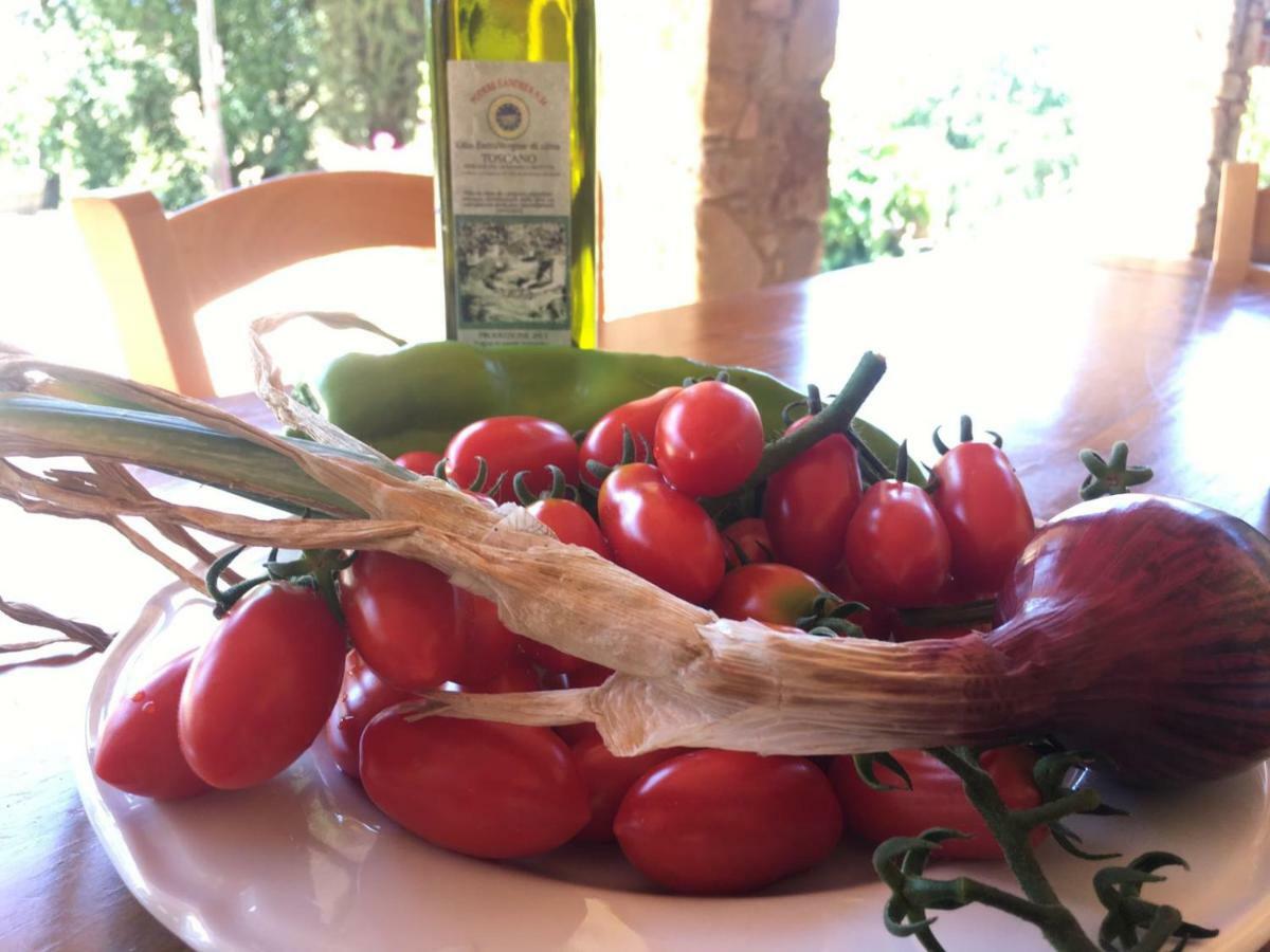 Agriristoro Podere S. Andrea Massa Marittima Extérieur photo