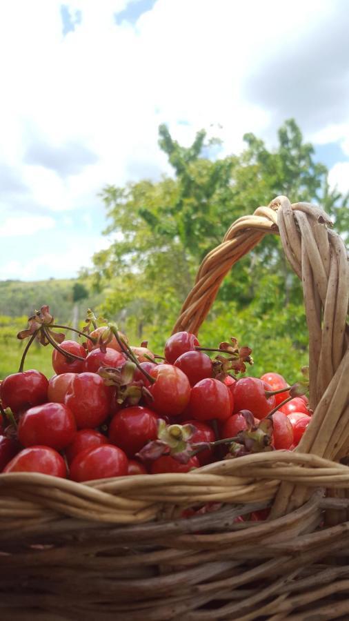 Agriristoro Podere S. Andrea Massa Marittima Extérieur photo